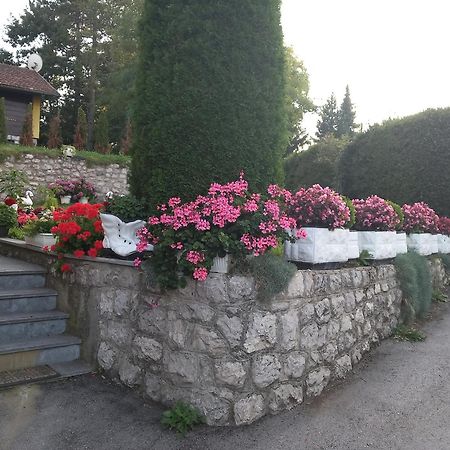 Apartment Vihor Zlatibor Exterior photo