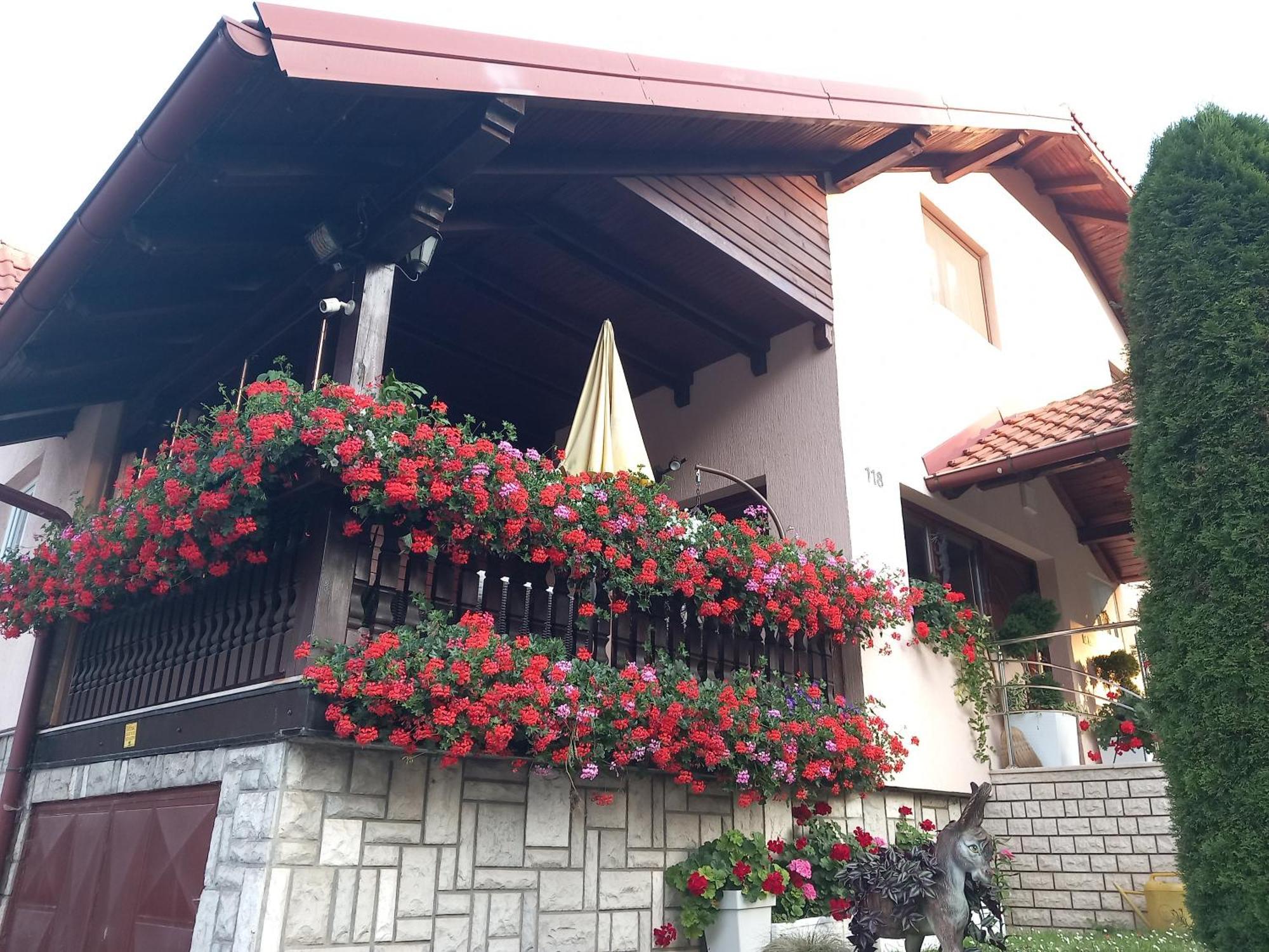 Apartment Vihor Zlatibor Exterior photo