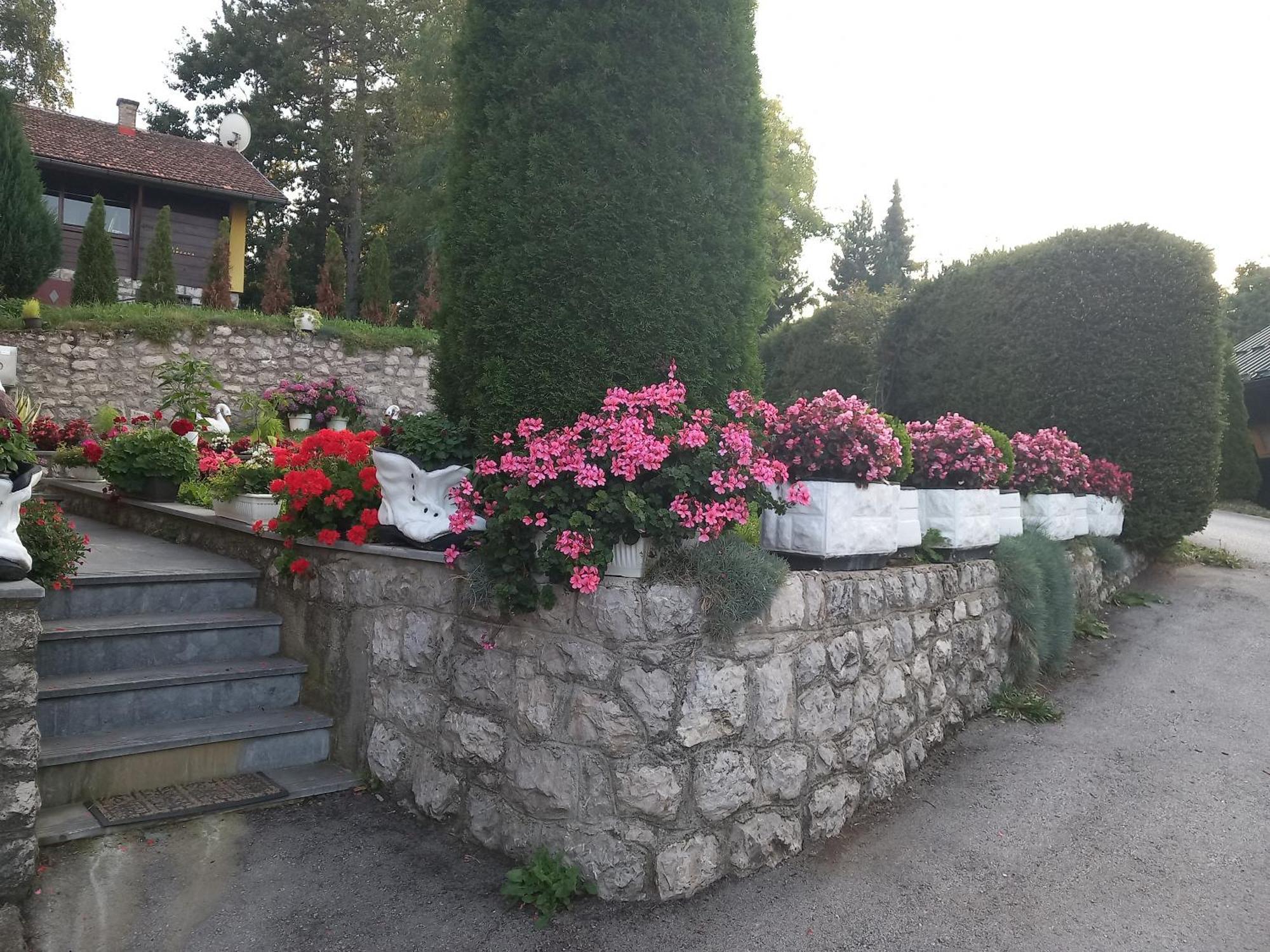 Apartment Vihor Zlatibor Exterior photo